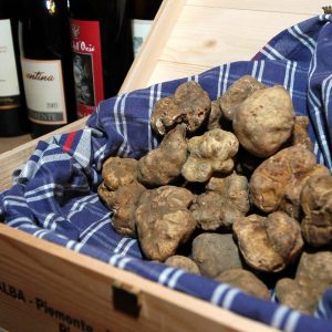 Tartufo Bianco di Alba